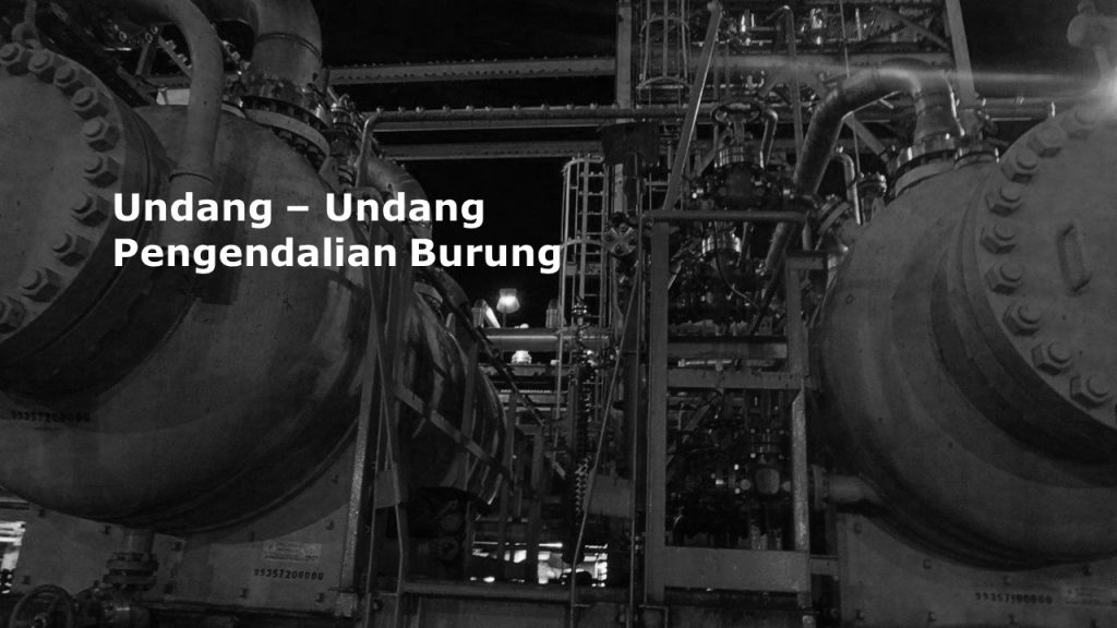 Tentang burung